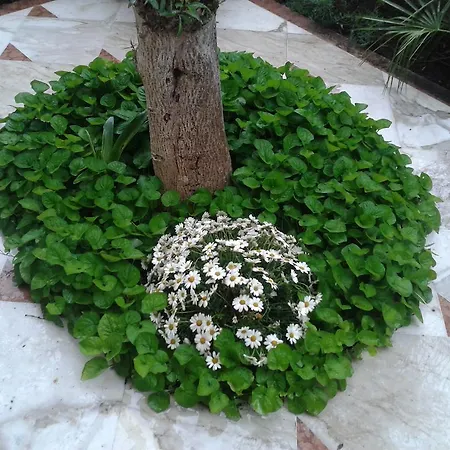 Eco I Due Oleandri Bed & Breakfast