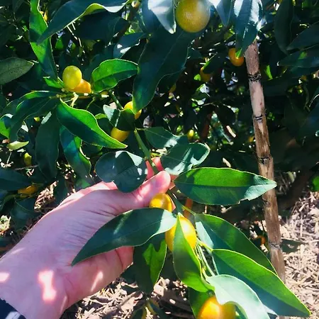 Eco I Due Oleandri Frühstückspension