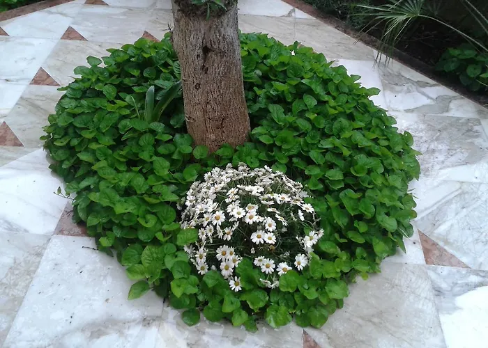 Eco I Due Oleandri Panzió